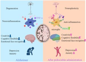 legalize psilocybin mushrooms