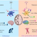 Cognitive Benefits of magic mushrooms