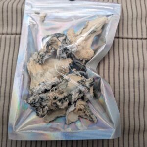 Enigma Mushrooms