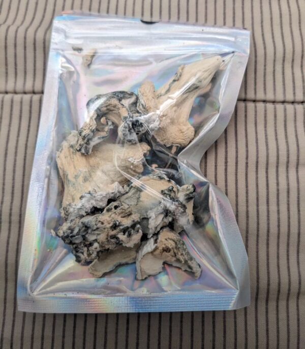 Enigma Mushrooms
