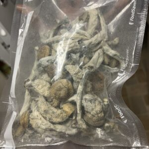 Dried Magic Mushrooms