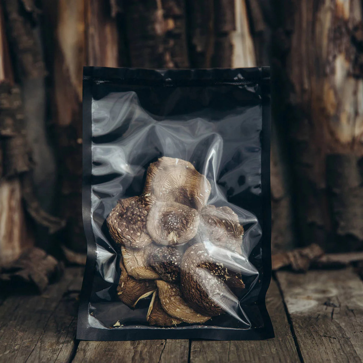 where can i get magic mushrooms ?