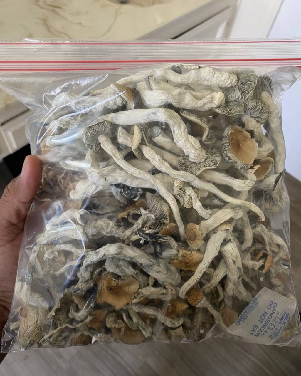 Magic Mushrooms Near Me