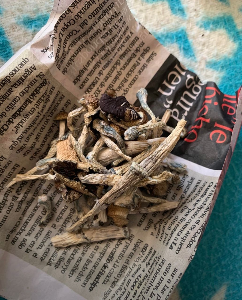 Making Magic Mushrooms a Modern Medication
