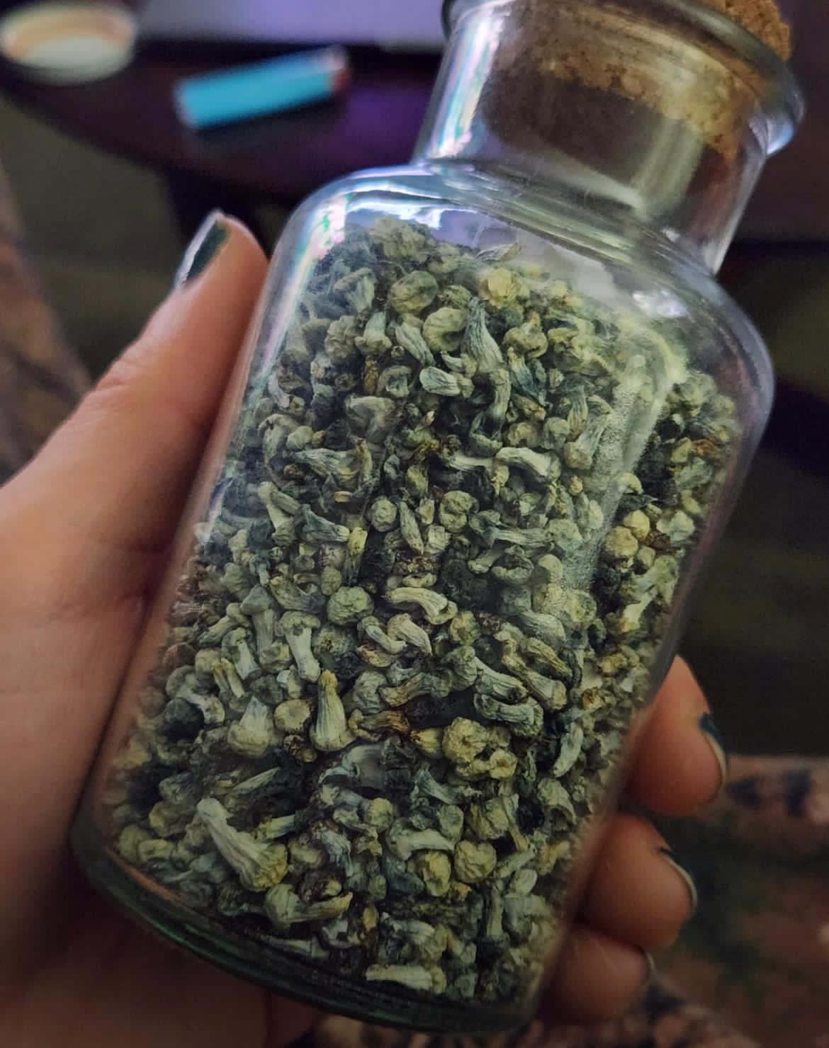 Where Buy Magic mushrooms in New York