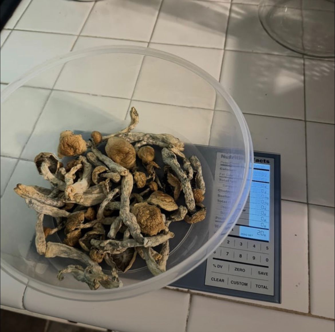 Where to Buy Magic Mushrooms Around Dayton Ohio