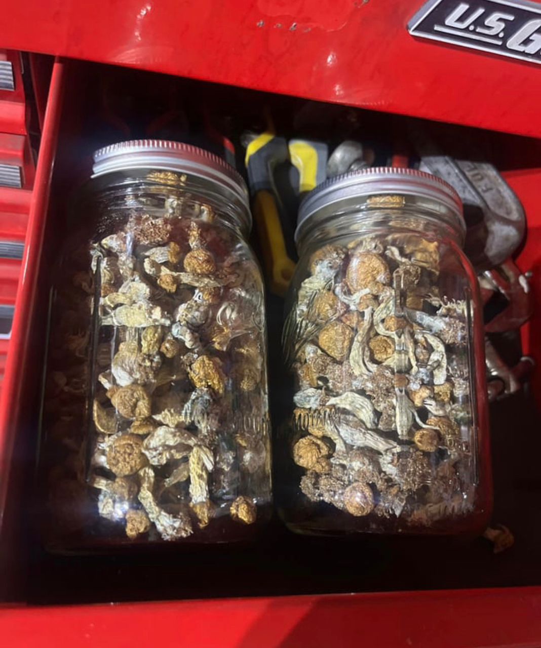 magic mushrooms in Findlay