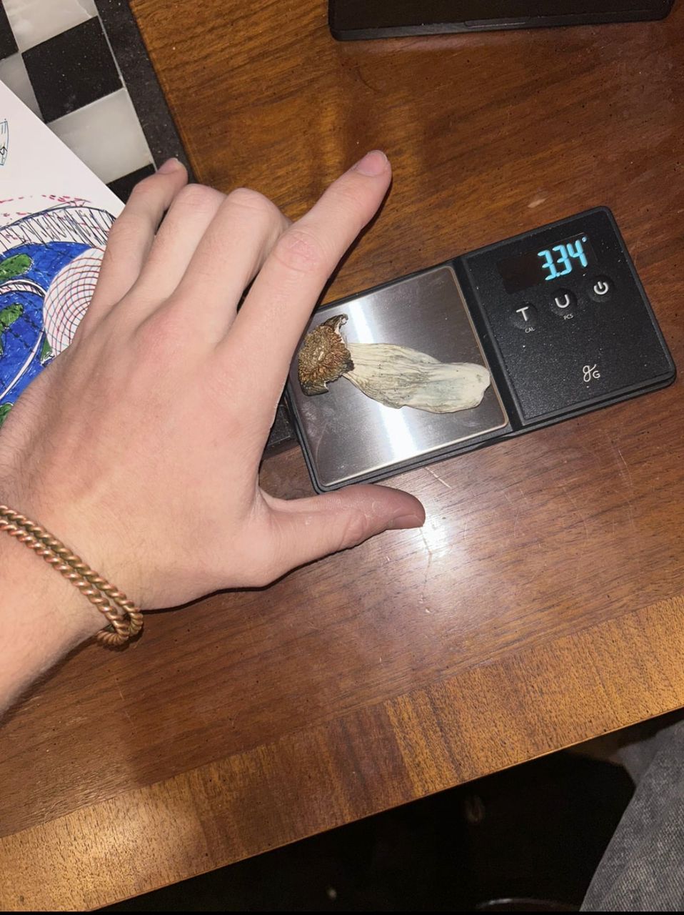 magic mushrooms in Chillicothe