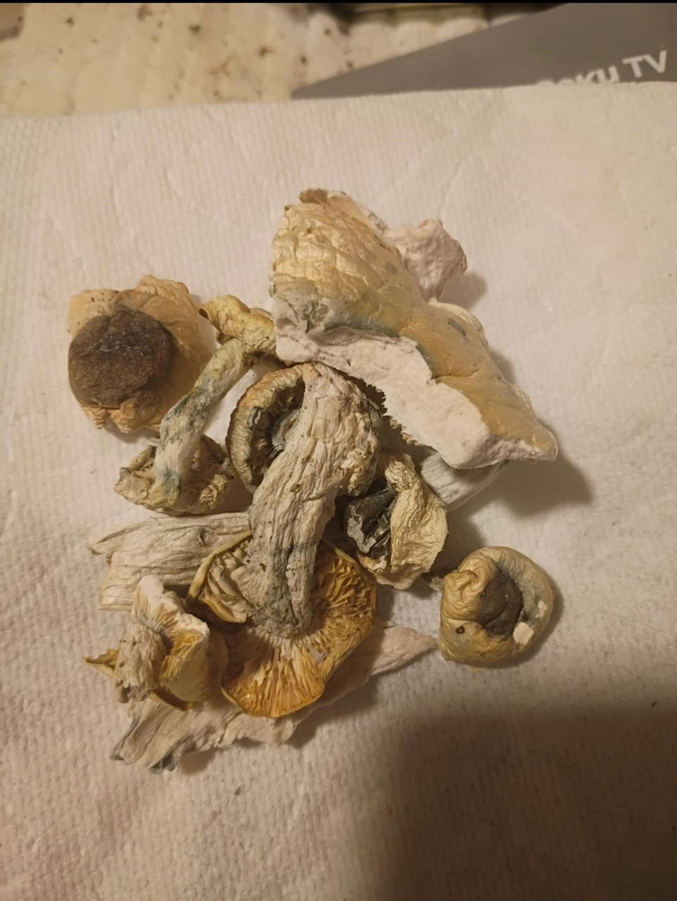 magic mushrooms Around Sandusky