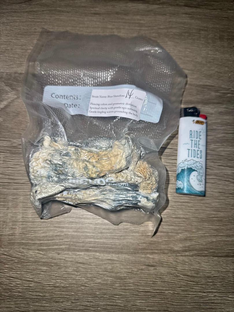 magic mushrooms California