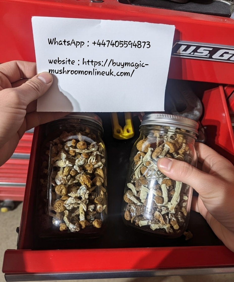 Certified Organic Magic Mushrooms